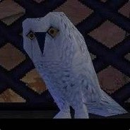 The Owl / Eule's avatar