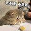 秋