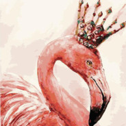 Flamenco