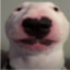 SquisY