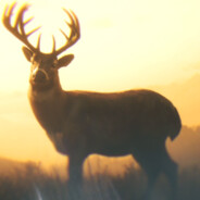 小小雨拦不住大大车