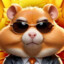 hamster_combat