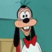 ST PVT Goofy