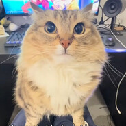 Steam Avatar