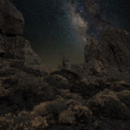 Anthropologist