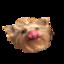gUp1