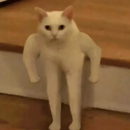 pp