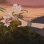 花是路边捡的