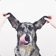 大山深处的板蓝根