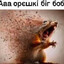 шменяйпеня
