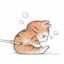 锤丶