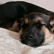 ichihoshi hikaru's avatar