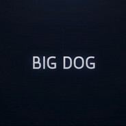 BIG DOG