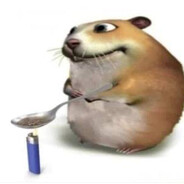 mendesreidelas