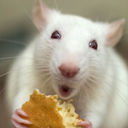 Krecha blanty kurwy fanty