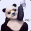 katil panda