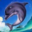 Ecco The Dolphin