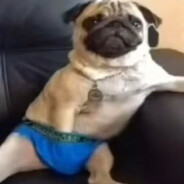 woken - steam id 76561199125073676