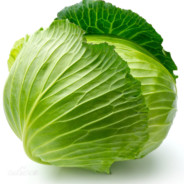 一颗包菜