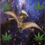 Admiral 420 Space Pterodactyl