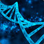 Deoxyribonucleic Acid
