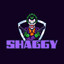 *_* SHAGGY*_*