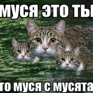 МУСЯ