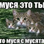 МУСЯ