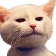 玩家头像