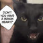 Профиль игрока тильтич - поиск тиммейта для игр