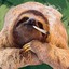 SlothTheGreat