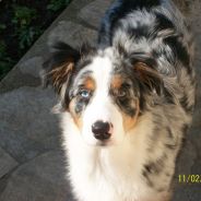 MaAar3k @ FaYa @ pApA^^