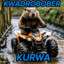 mini bobr kurwa