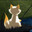 MiauMiau