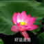 暴龙铠甲