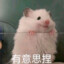 开窍雏鸡