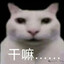豌豆射手也要玩遊戲嗎