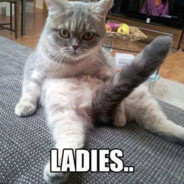 ::_R!oT_:: | Feeling lucky