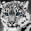 White_Tiger TR