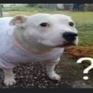 Soppa - steam id 76561199225193514