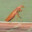 legaleagle119 avatar
