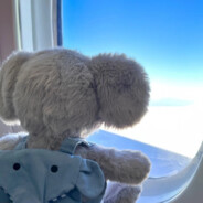 𝓼𝓲𝓶𝓹𝓵𝓮