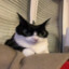 𝐍𝐚𝐬𝐭𝐲𝐚
