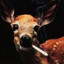 DeerCynical