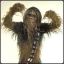 ohlookitsawookiee