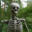 a skeleton