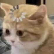 理塘最强最猛烟男丁真