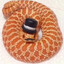 GPO_snake