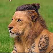 Lion_007