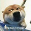 轨迹